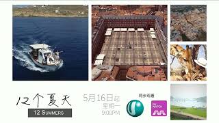 Ｕ频道：《12个夏天》【12 Summers】（5月16日起，星期一，晚上9点）预告