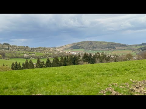Wandelen door de Eifel - Eifelsteig etappe 10 - Gerolstein-Daun