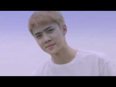 Full Cut EXO & REDVELVET SMTOWN Live World Tour VI VCR (1)