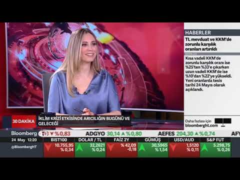 BLOOMBERGHT | Dünya Arı Günü