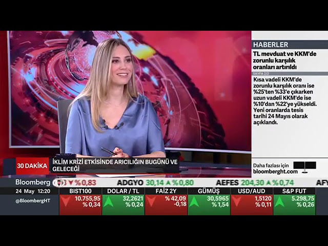BLOOMBERGHT | Dünya Arı Günü