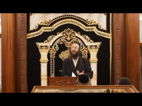 הלכות פיקוח נפש בשבת - שיעור ראשון
