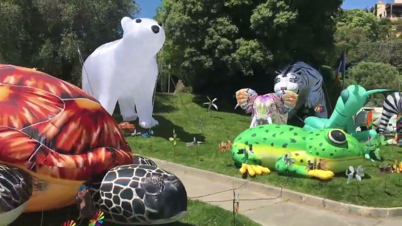 Parc Nasser Volant et Show