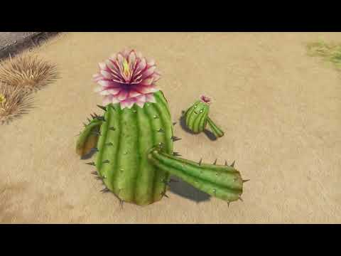 FINAL FANTASY XII THE ZODIAC AGE 2025 Barheim Passage Key