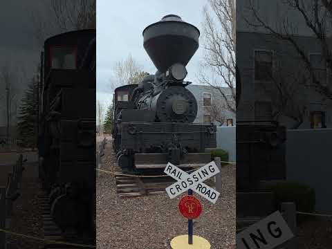 Shay No. 5 🚂 Historic Saginaw & Manistee Lumber Co. Steam Locomotive