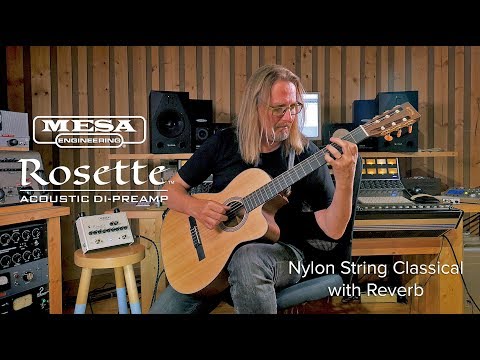 ‪MESA/Boogie Rosette® DI Preamp - ‬Nylon String Classical Direct