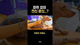 유튜브 썸네일