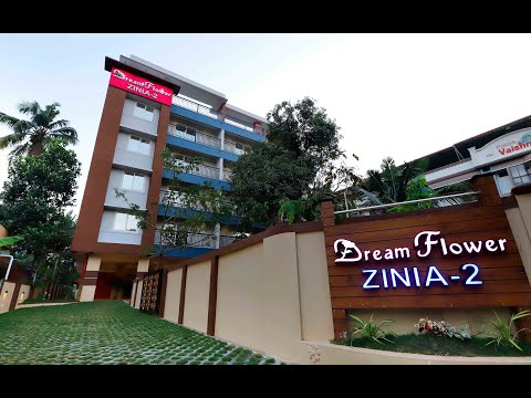 3D Tour Of Dream Flower Zinia