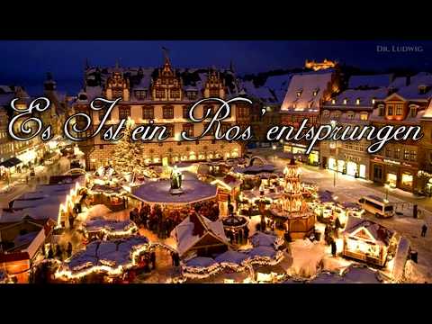 Es ist ein Ros' entsprungen [German Christmas song][+English translation]