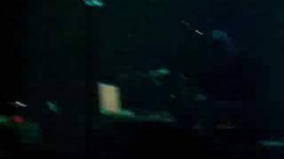 Zero 7 live in NYC : Futures