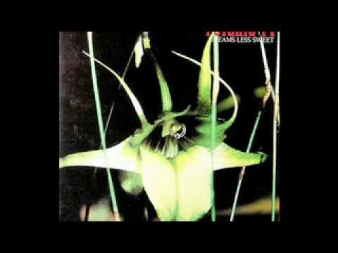 Video thumbnail for The Orchids