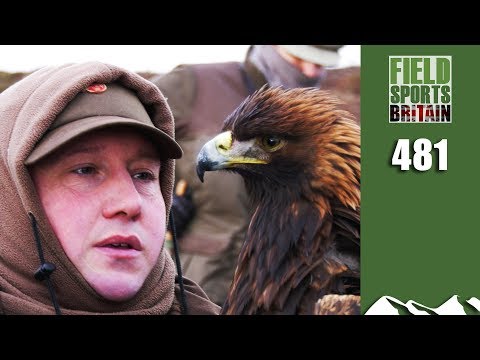 Fieldsports Britain – Eagles on Hares Fieldsports Britain – Eagles on Hares