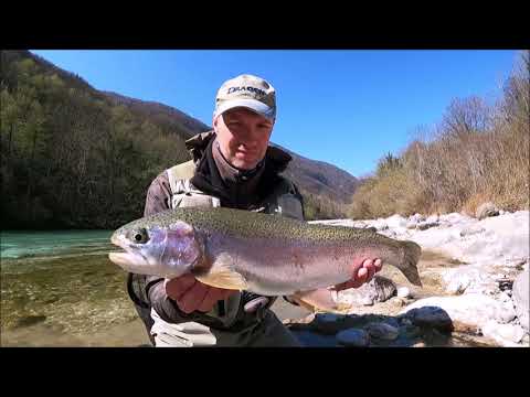 Slovenia fly fishing river Soča April 2023