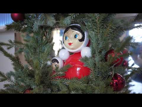 В Приморье стартовала акция «Новогодняя Россия»