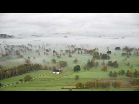 Carmen Petra-Basacopol (1926-2023): Suite for harp op. 10 (1958)