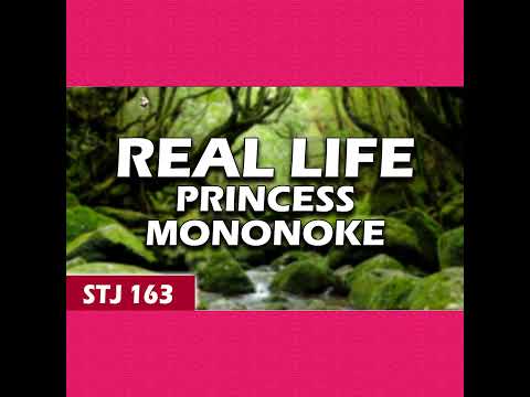 Yakushima's Need To Know Tips | STJ 163