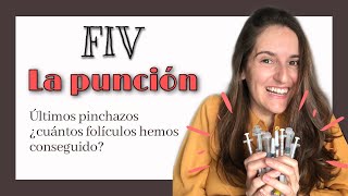 FIV: PUNCIÓN FOLICULAR | PREPARACIÓN Y RESULTADOS DE LA PUNCIÓN