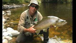 preview picture of video '14lb brown trout caught in New Zealand'