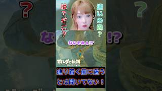 え？いま私飛んでたよね？？ん？？ #ブレワイ #ゼルダの伝説ブレスオブザワイルド #shorts