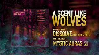 Dissolve Music Video