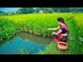 Fishing Video The Skilled Village Girl Collects Money By Fishing Constantly Hook Fishing