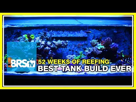 Week 1: Our Best Reef Tank Build Yet | 52 Weeks of Reefing #BRS160