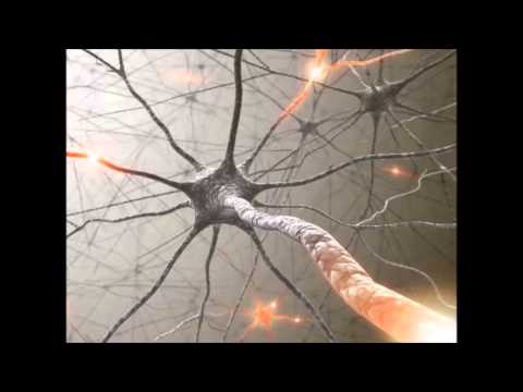 Tauczer - Neuralgia (1x15)