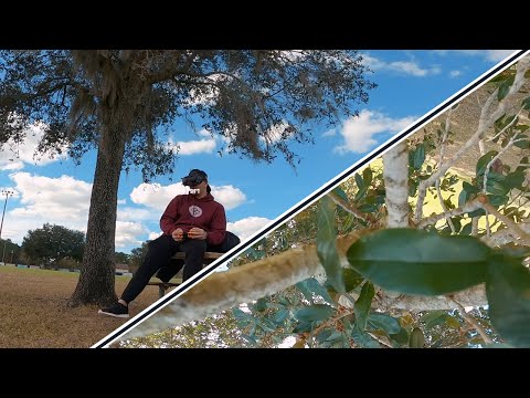 Diatone Roma F5 it’s seriously so smooth!