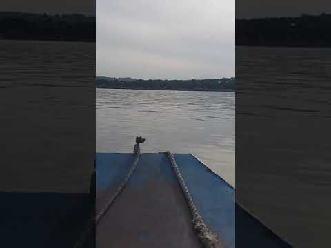 Grocka ostrvo Goli Djoka