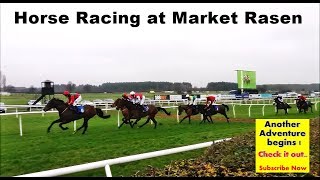 Horse racing at Market Rasen, England
