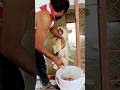 Tiger Badshah Animaldog Dog Badboyshah Dogbreeds Animal Rapperbadshah