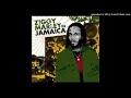 Ziggy Marley - 12 Make Some Music