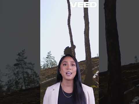 Unstoppable Mindset: Rise Through Adversity | UpFocus Motivation