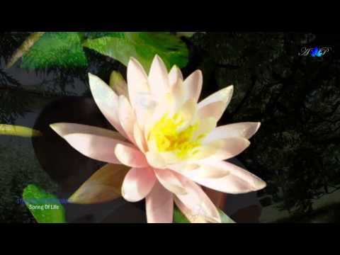 ♡ STAMATIS SPANOUDAKIS - Spring Of Life (beautiful relaxing music)