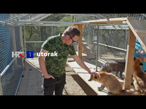 PAMETAN KAO VRANA HRABAR KAO JEŽ | Robert Knjaz - Lisica - najava, HRT1, utorak 14.2. u 20:15