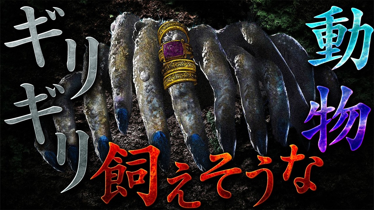 ギリギリ飼えそうな動物【ソウルシリーズ】