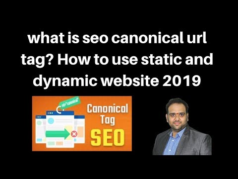 what is seo canonical url tag  How to use static and dynamic website 2019