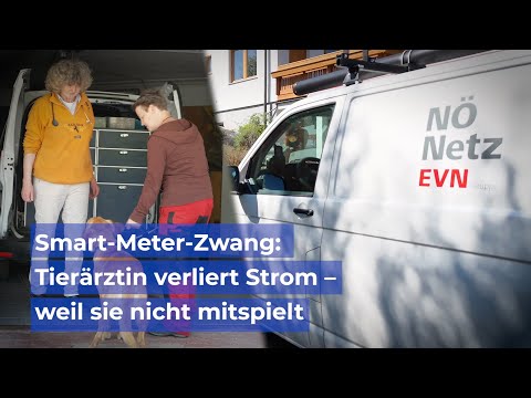 Smart-Meter-Zwang: Tierärztin verliert Strom – weil sie nicht mitspielt
