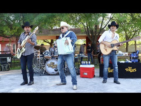 Los Tercos - Levantando Polvadera (Album de huapangos en vivo)