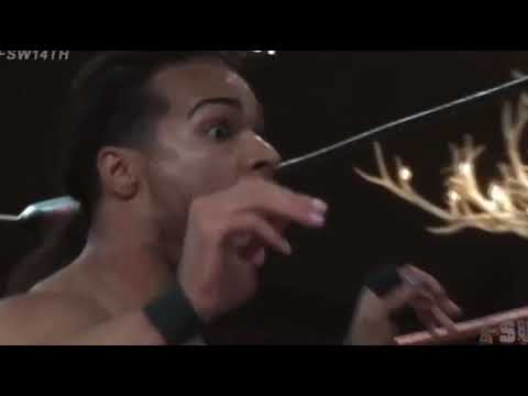 What happened between Jai Vidal and Nic Zander during the Cash in the Case Ladder Match!c