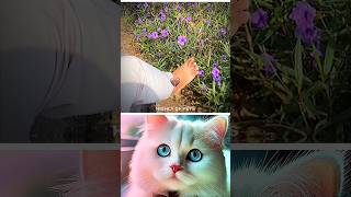 Download lagu #awezchaitrend mp3