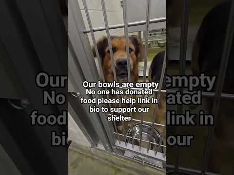 please donate food link in our bio #NYC#LosAngeles#Chicago#Texas#Florida#california#newyork #usa