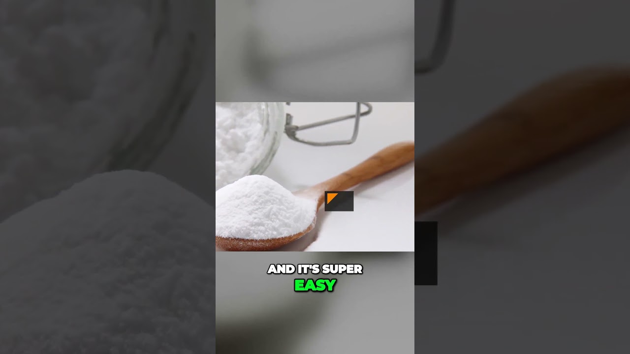 Say goodbye to mold forever with this powerful and pet safe solution!