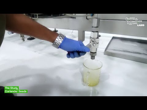 BES Labs | The Study | Coriander Seeds