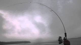 The SExy Curve on a AJN Solid Carbon Rod