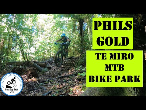 Phils Gold in Te Miro MTB Park Cambridge.