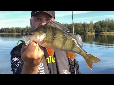 Tuote-esittely - KAIKKI Jasu jigit - Jigimallit, koot ja värit