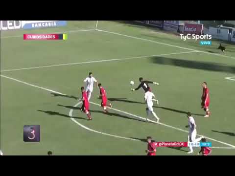 Increible: Un perro le atajó un gol a Juventud Unida de Gualeguaychú