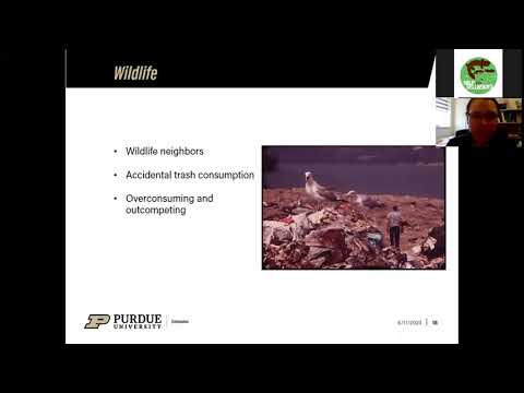 Environmental Effects of Food Waste Webinar