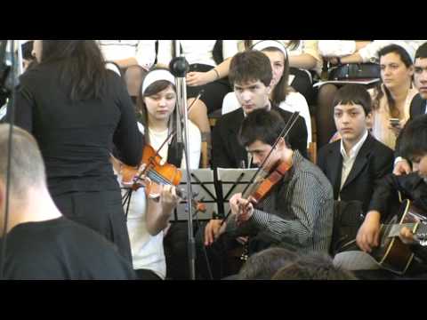 IN MIJLOCUL LAUDELOR  - ORCHESTRA